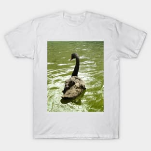 Black Swan Green Water T-Shirt